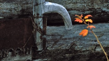  Old saw 