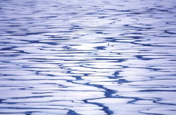 Sea ice drainage patterns 