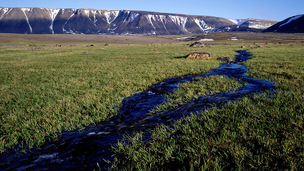  An arctic oasis: the Sverdrup Lowlands 
