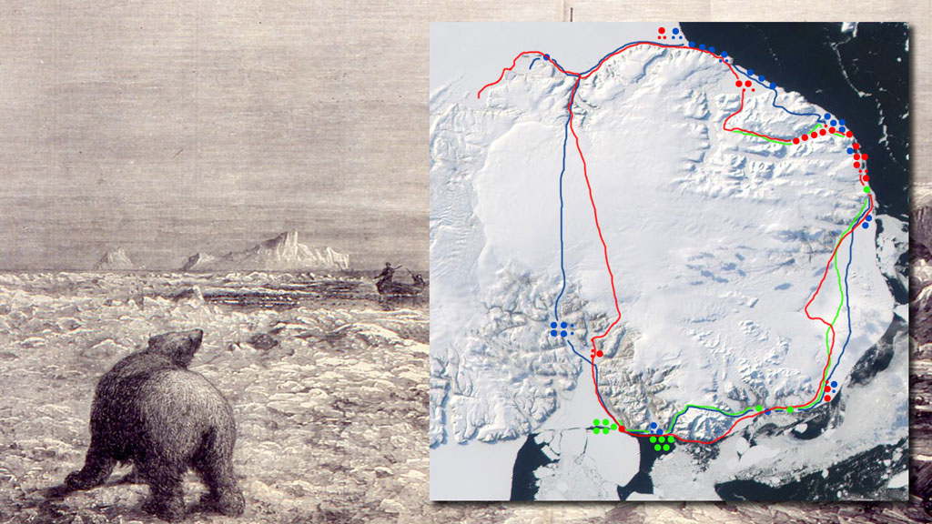  Locations of our 80+ bear sightings during three expeditions on Devon Island 